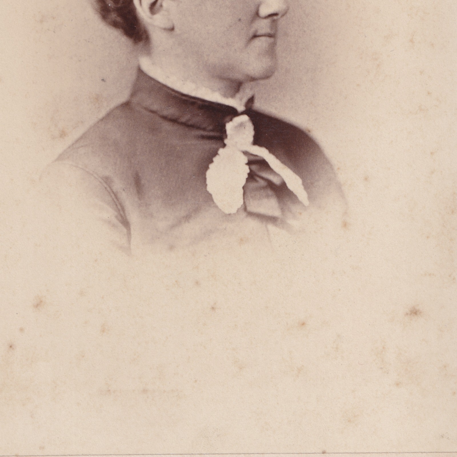 Cabinet Card: Cabinet Card: Ellen Swallow Richards, Pioneer Woman Scientist MIT. Hardy, Boston: catalogue image 10