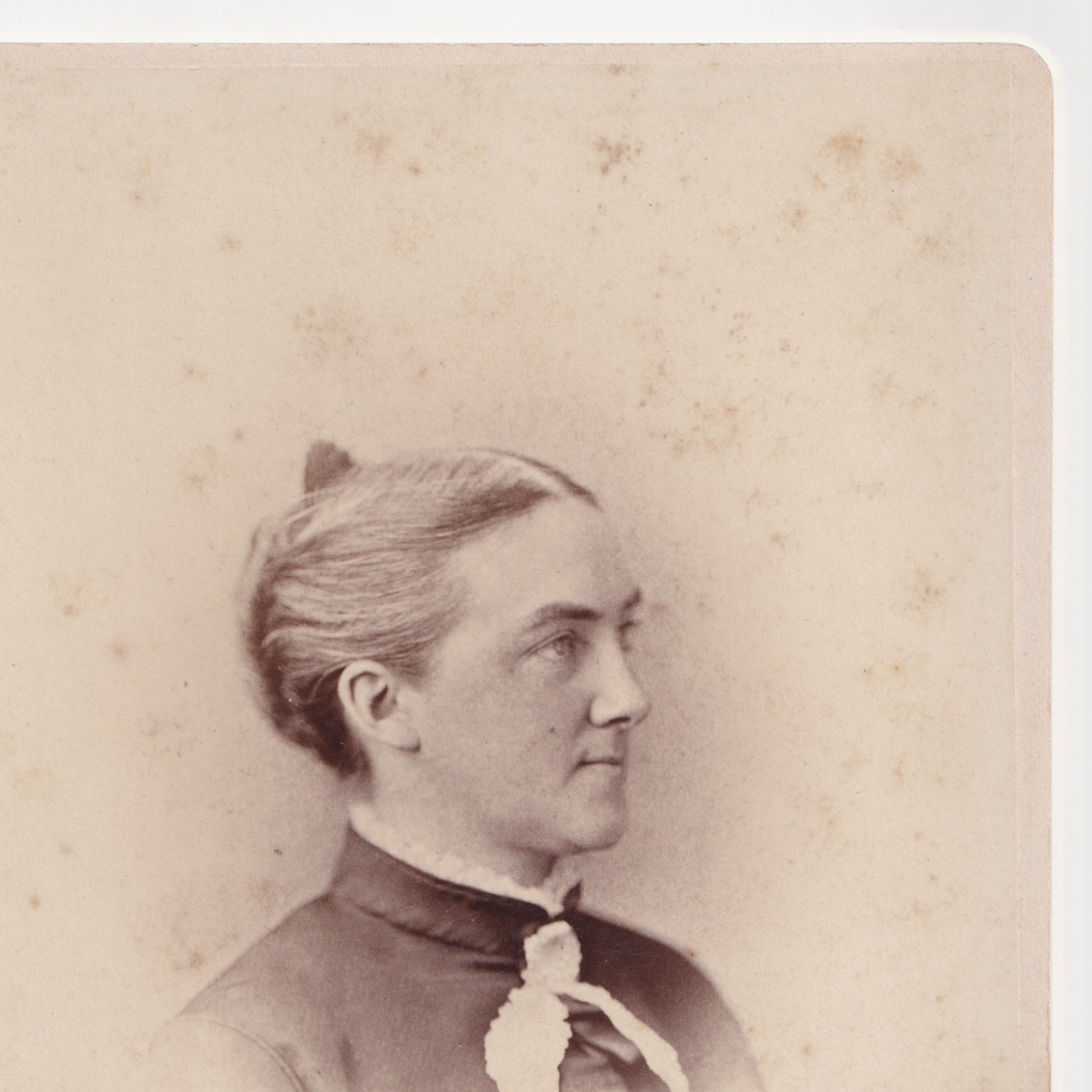 Cabinet Card: Cabinet Card: Ellen Swallow Richards, Pioneer Woman Scientist MIT. Hardy, Boston: catalogue image 5