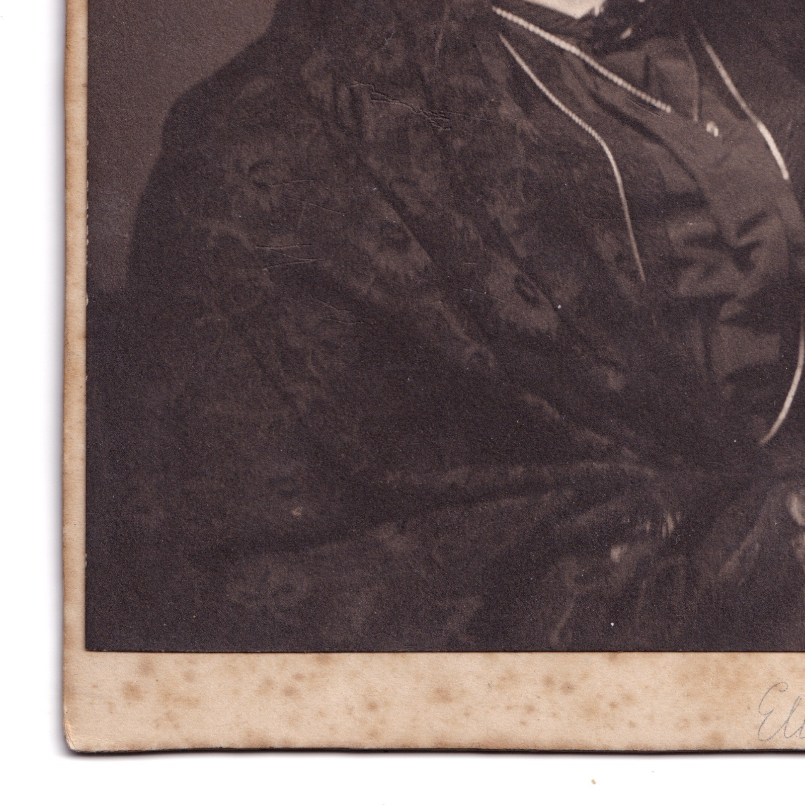 Cabinet Card: Cabinet Card: Elliott & Fry, Woman Wearing Day Cap, Dark Outfit.: catalogue image 7