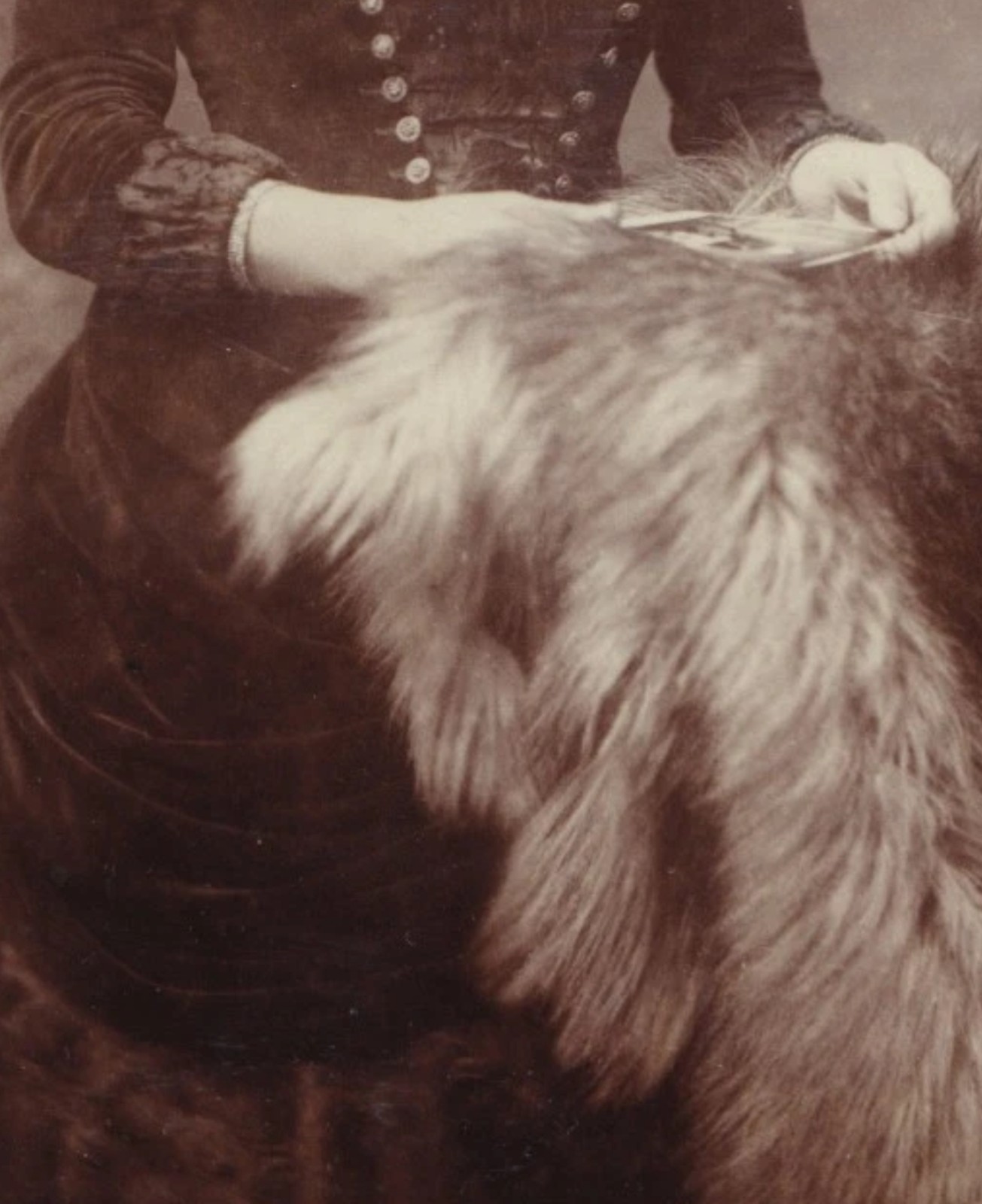 Cabinet Card: Cabinet Card: H. Marshall, Cambridge Heath, Woman with Fur Throw.: catalogue image 6