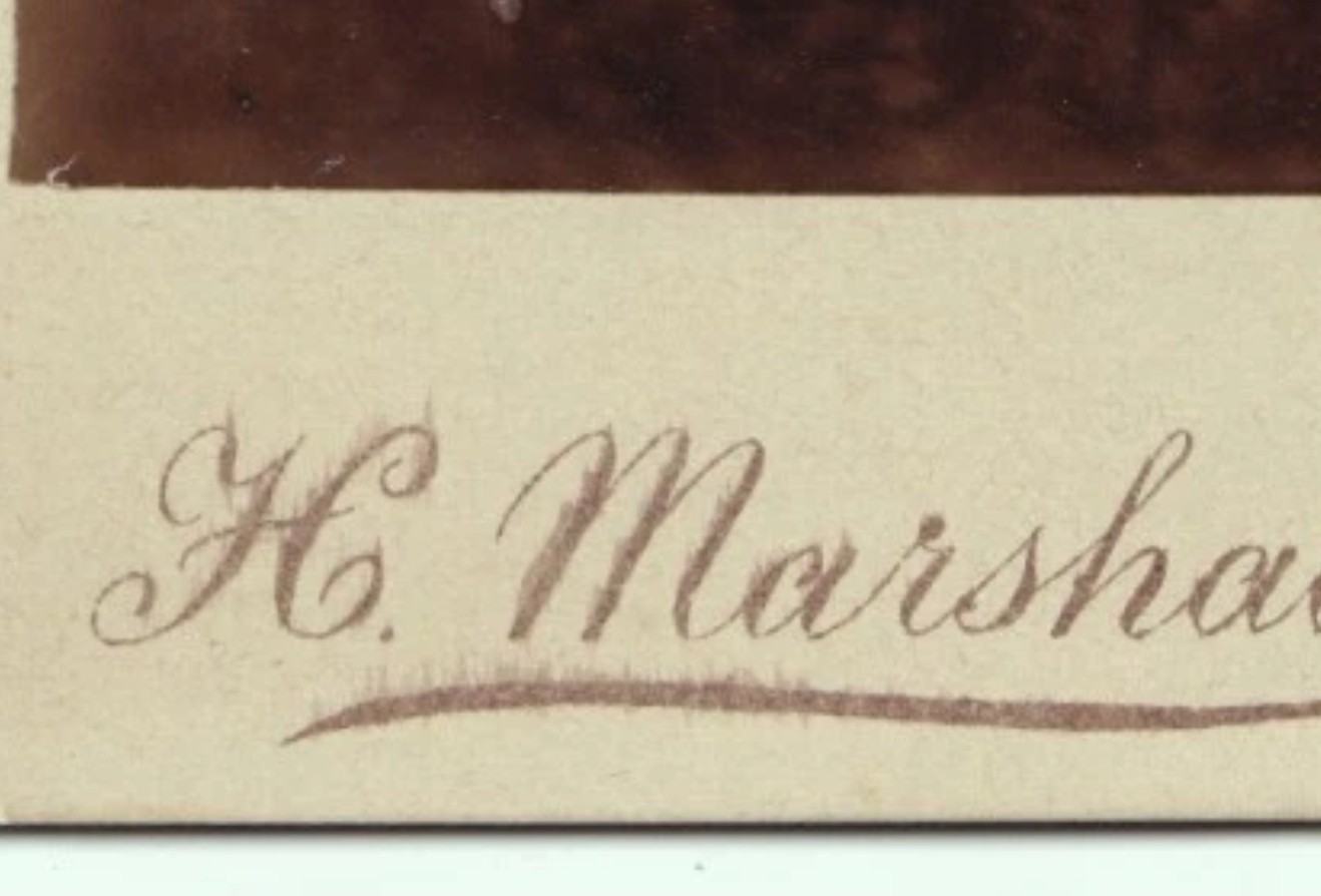 Cabinet Card: Cabinet Card: H. Marshall, Cambridge Heath, Woman with Fur Throw.: catalogue image 7