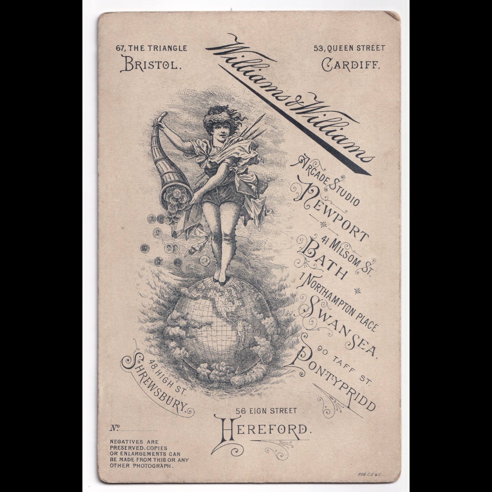 Cabinet Card: Cabinet Card: Large Family Portrait. Williams and Williams Card.: catalogue image 11