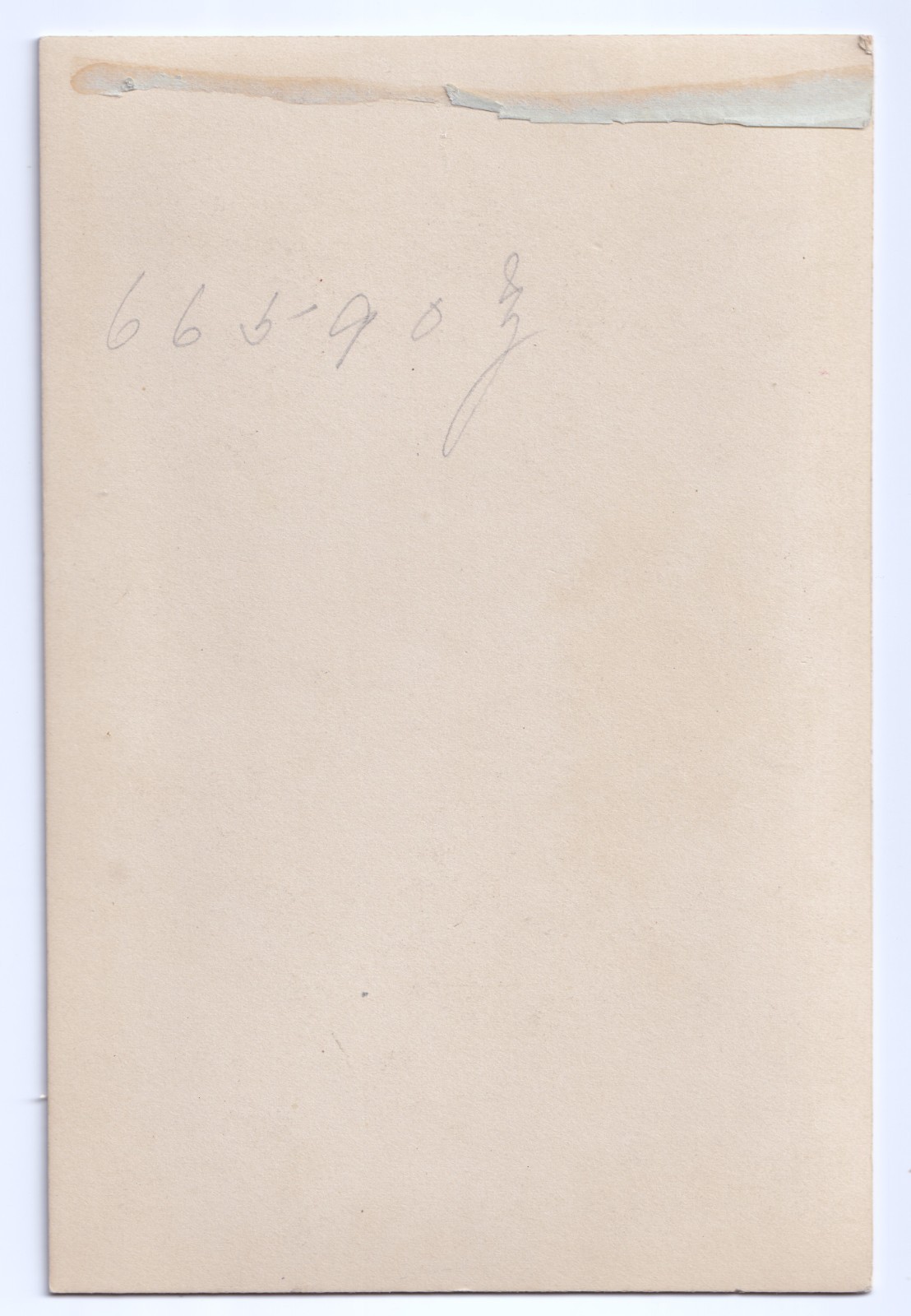 Cabinet Card: Cabinet Card: Portrait, Woman. Heath & Bullingham, Patent Chromotype. Plymouth: catalogue image 2