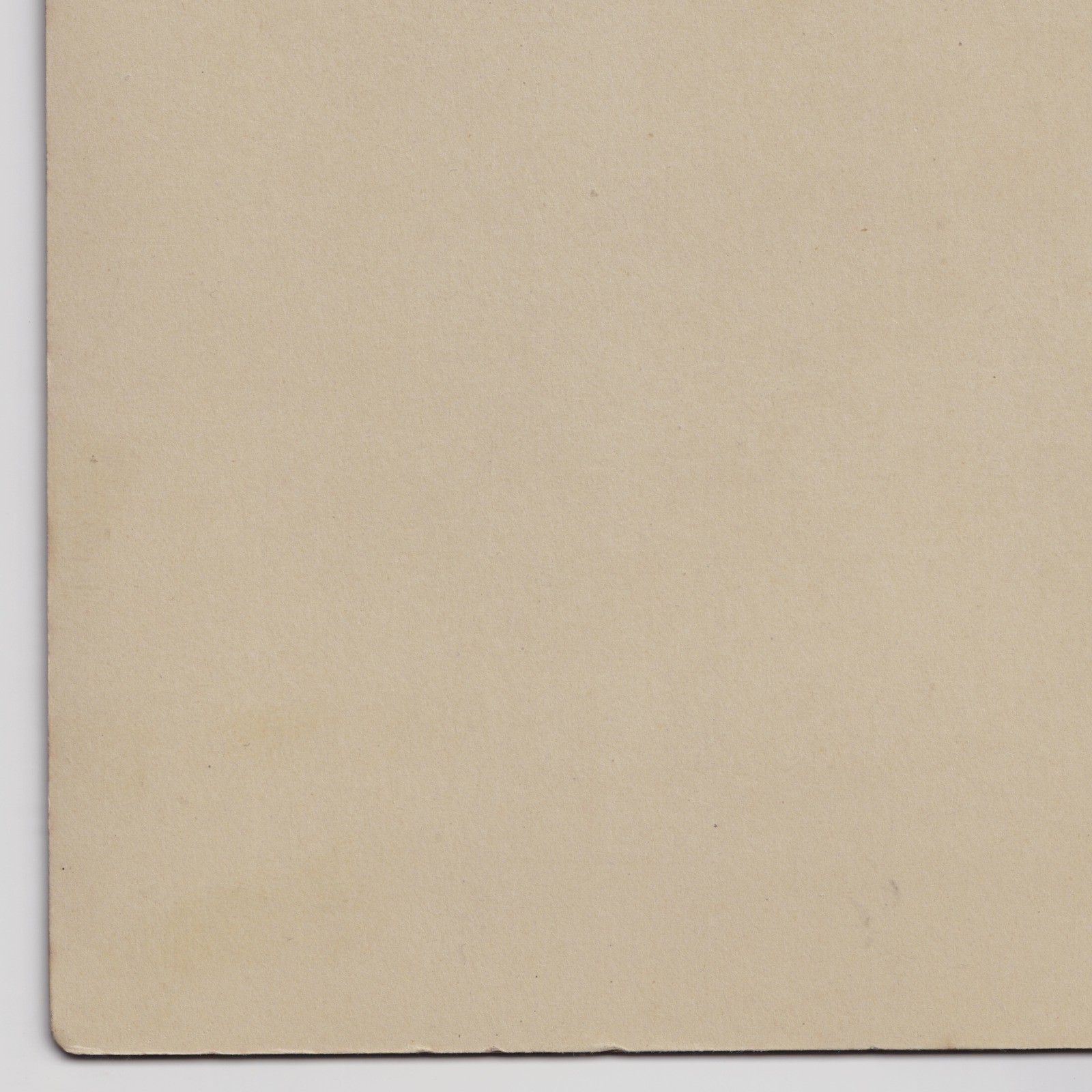 Cabinet Card: Cabinet Card Possibly Sarah Briggs, Wakefield Connection. Bara, AYR. N.B Card: Briggs: catalogue image 15