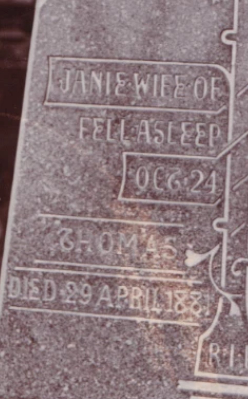 Cabinet Card: Cabinet Card: Sheffield Card. Gravestone for Brown Family Name.: catalogue image 7