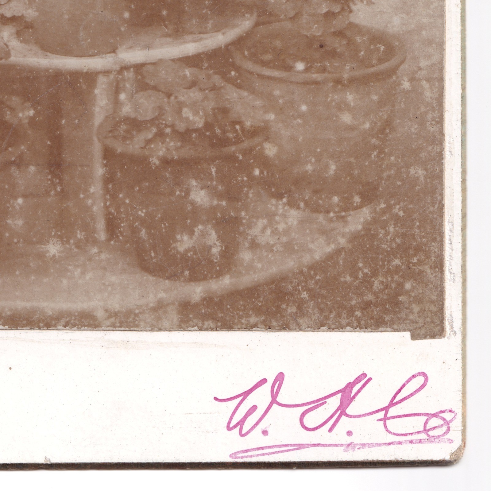 Cabinet Card: Unusual Cabinet Card: Baby Seated on Tiered Plant Stand with Potted Plants.: catalogue image 11