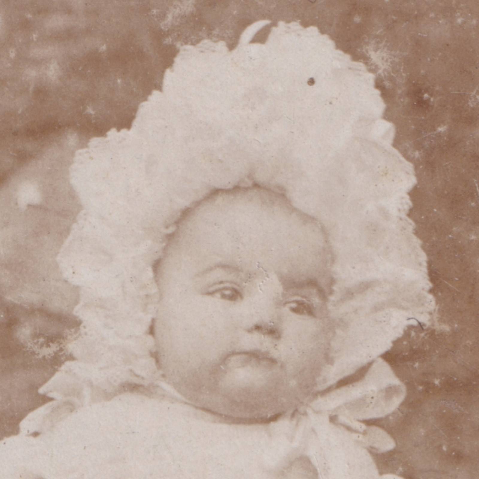 Cabinet Card: Unusual Cabinet Card: Baby Seated on Tiered Plant Stand with Potted Plants.: catalogue image 2