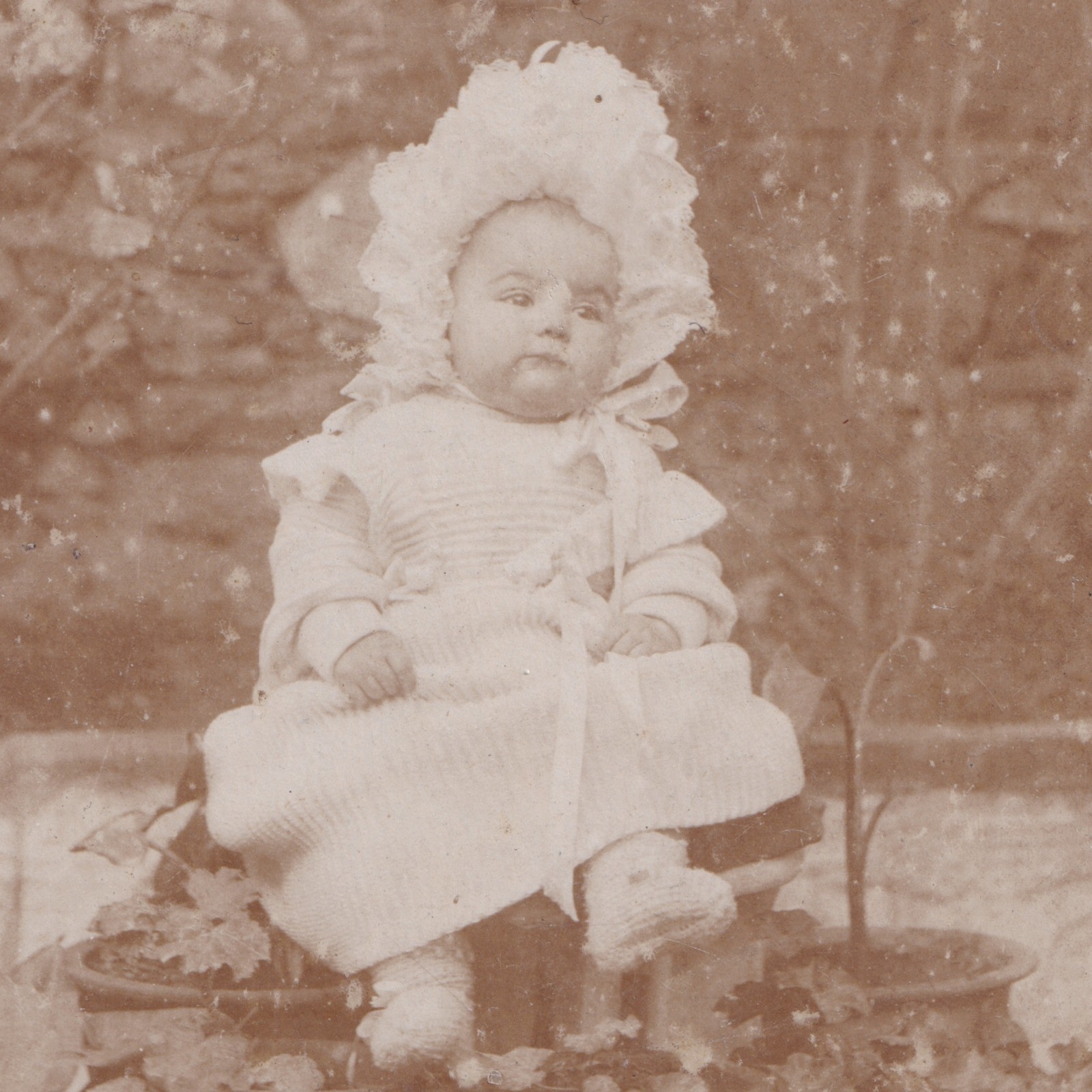 Cabinet Card: Unusual Cabinet Card: Baby Seated on Tiered Plant Stand with Potted Plants.: catalogue image 7