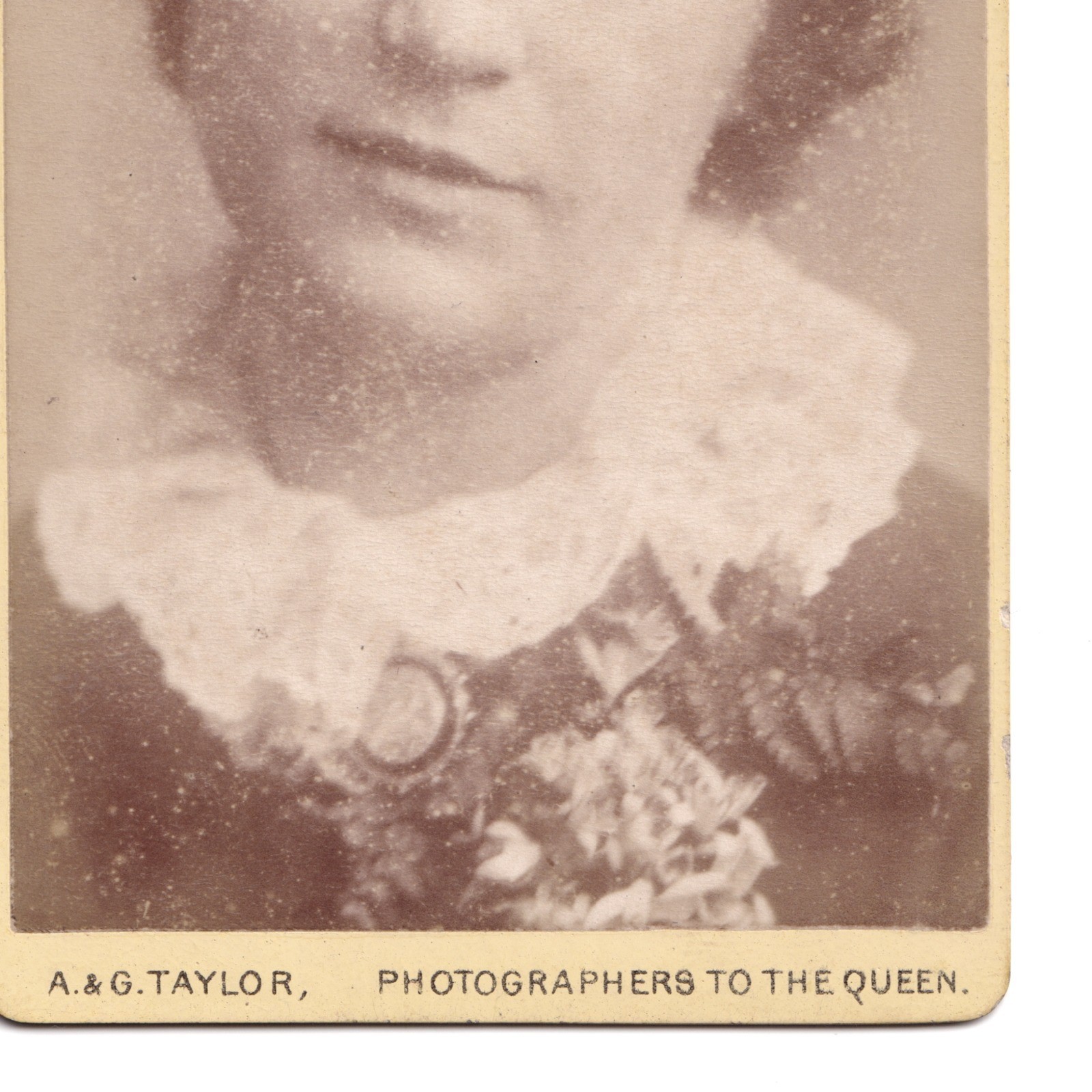 CDV: CDV: A & G Taylor Card, Woman with Short Curly Hair.: catalogue image 6