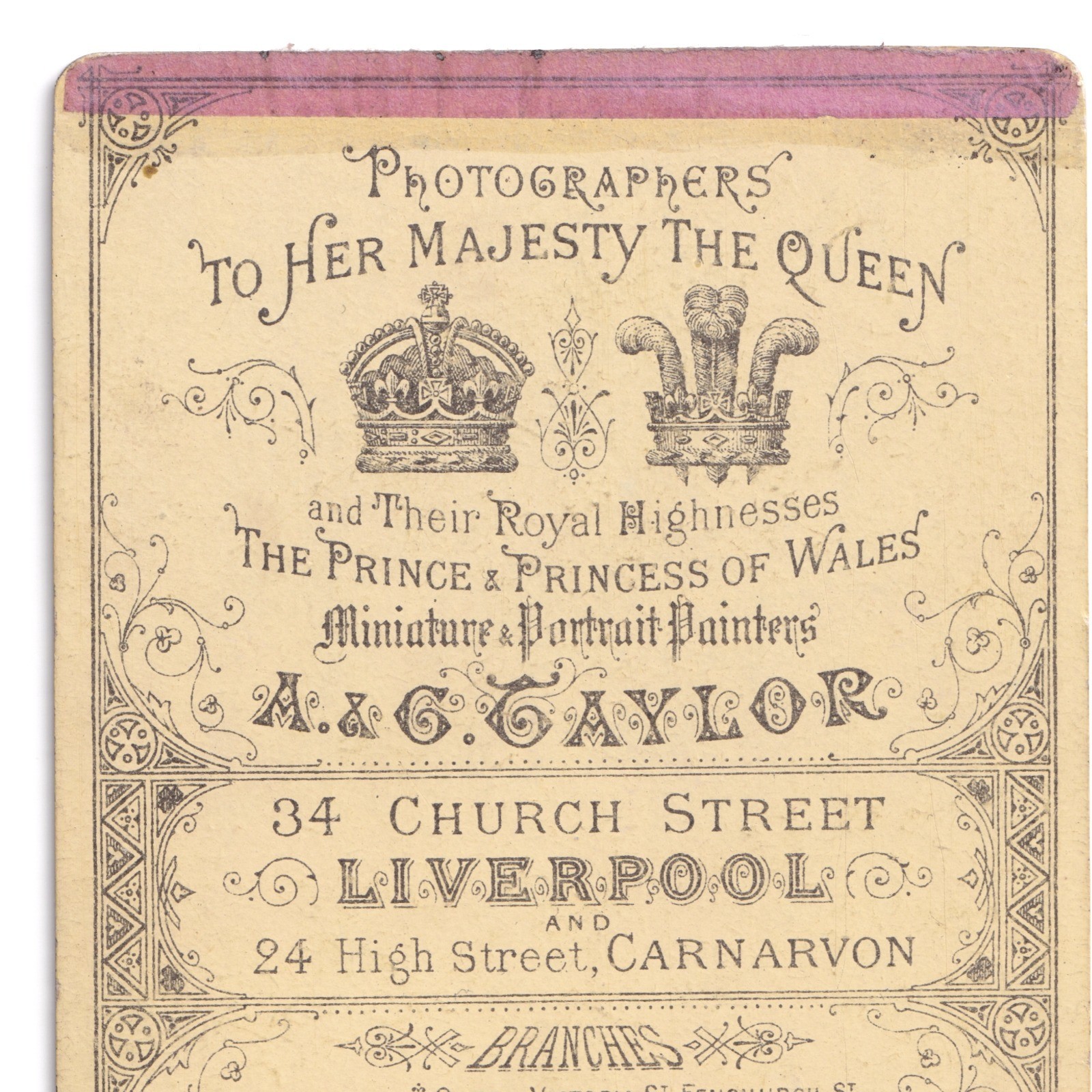 CDV: CDV: A & G Taylor Card, Woman with Short Curly Hair.: catalogue image 8