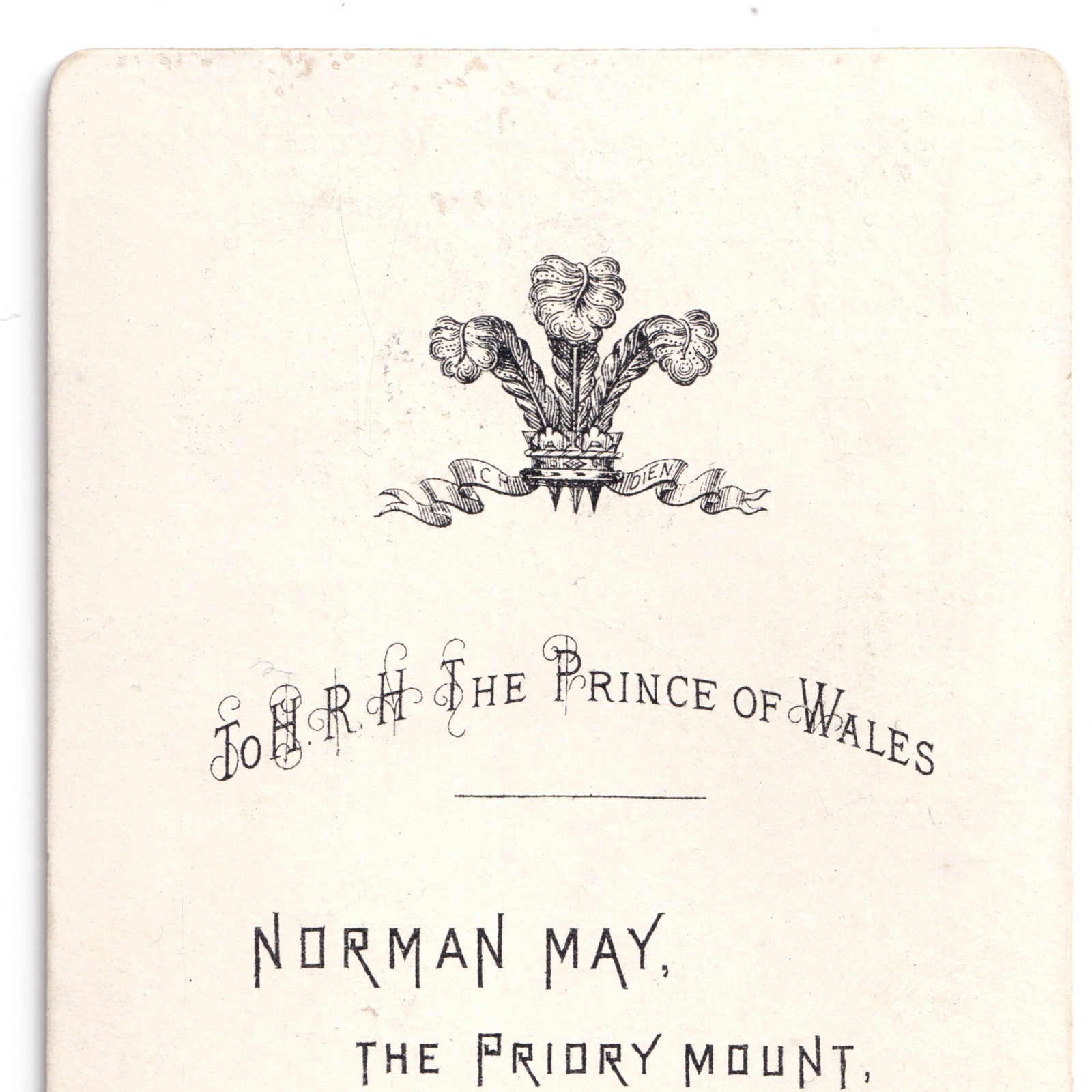 CDV: CDV: Norman May, Malvern Card. Woman wearing hat or cap.: catalogue image 11
