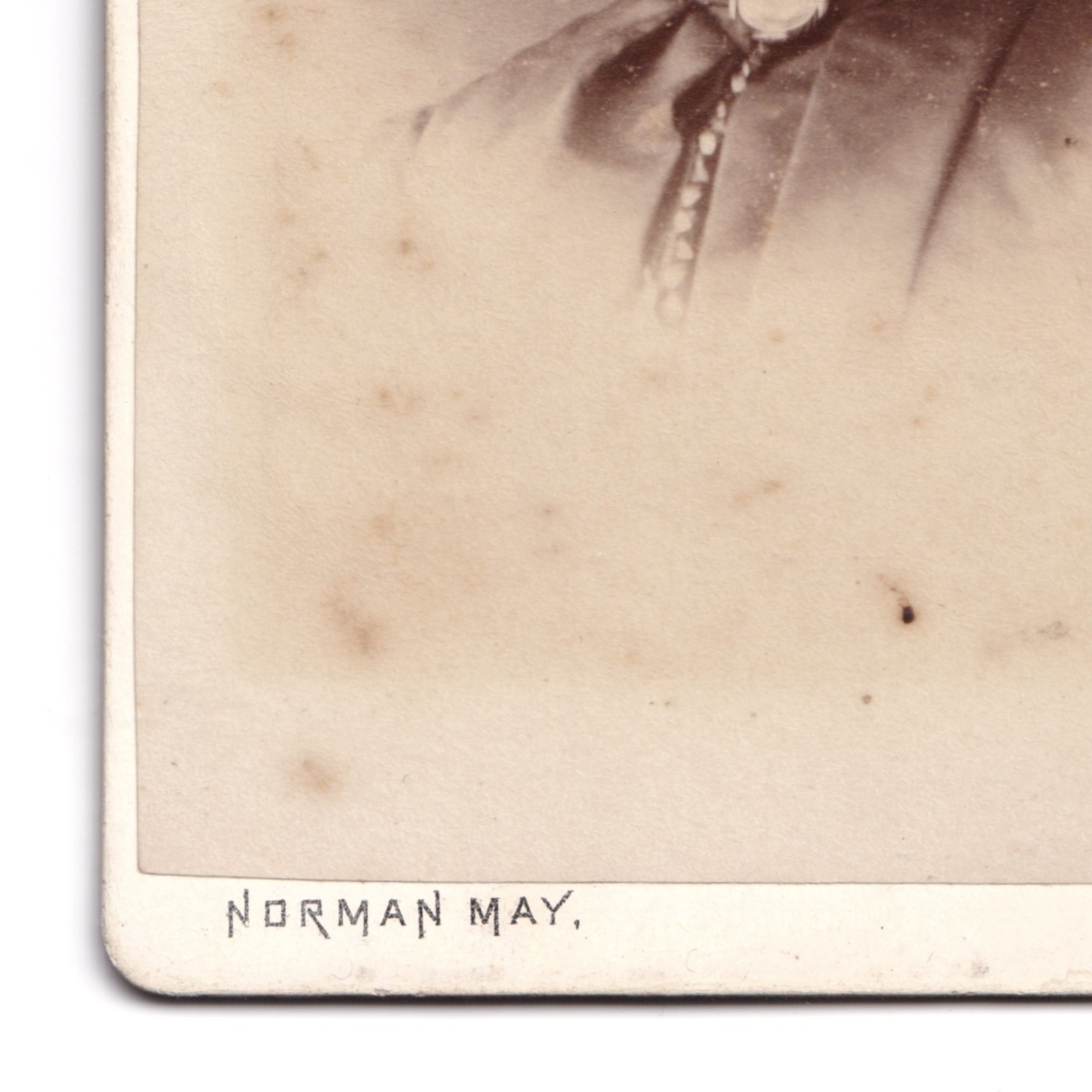 CDV: CDV: Norman May, Malvern Card. Woman wearing hat or cap.: catalogue image 6