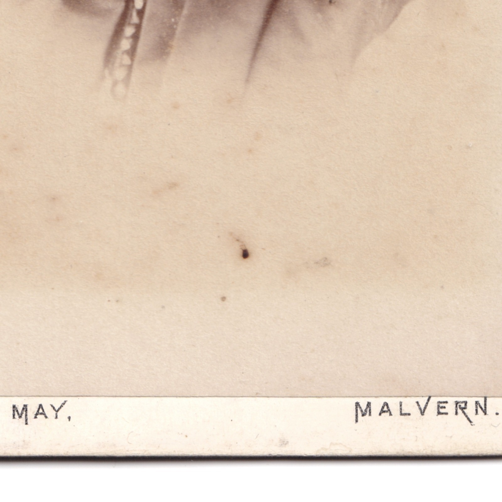 CDV: CDV: Norman May, Malvern Card. Woman wearing hat or cap.: catalogue image 9