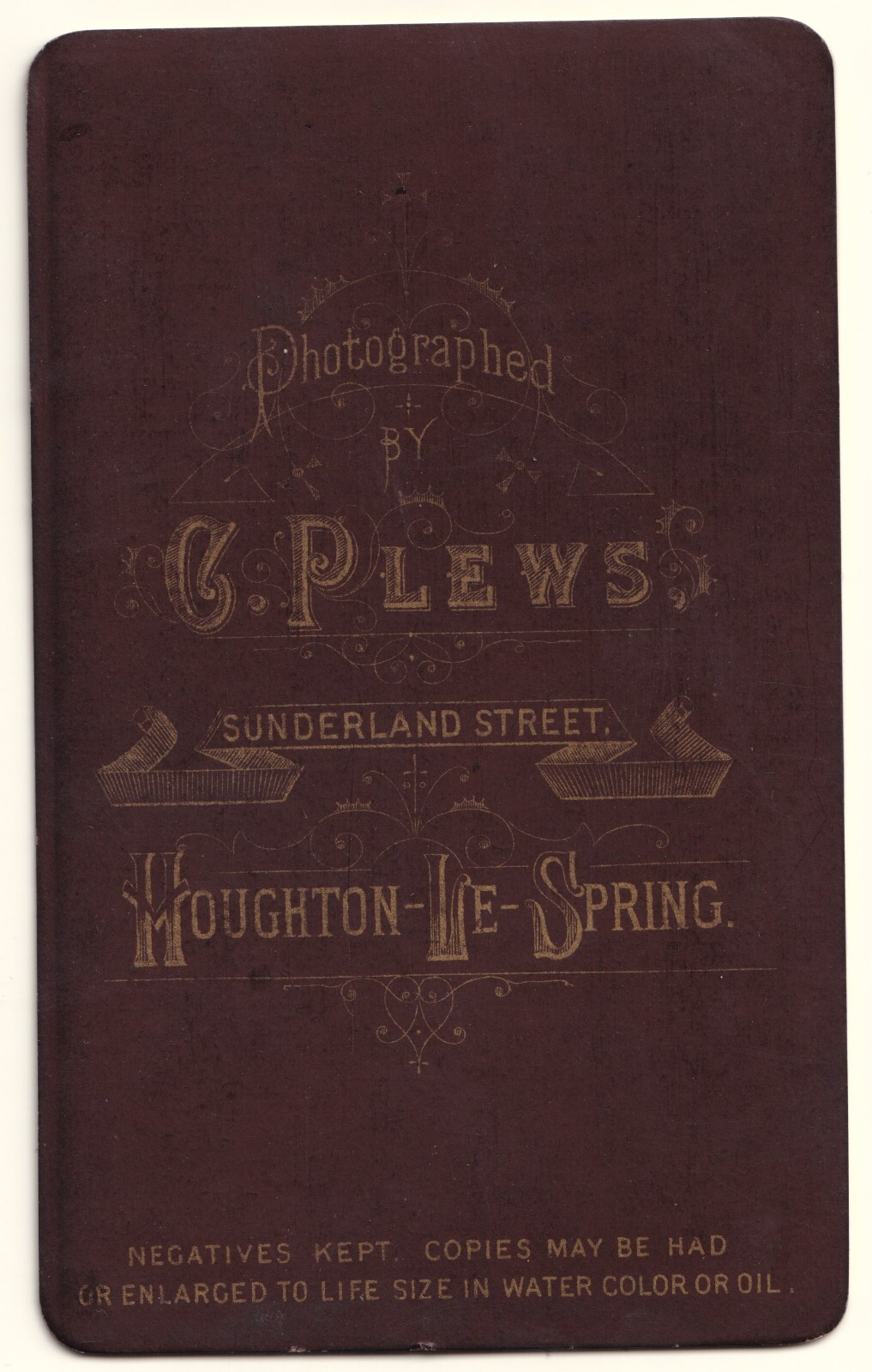 CDV: CDV: Person in Fancy Dress, Theatrical Pose. C. Plews, Houghton Le Spring Card.: catalogue image 2