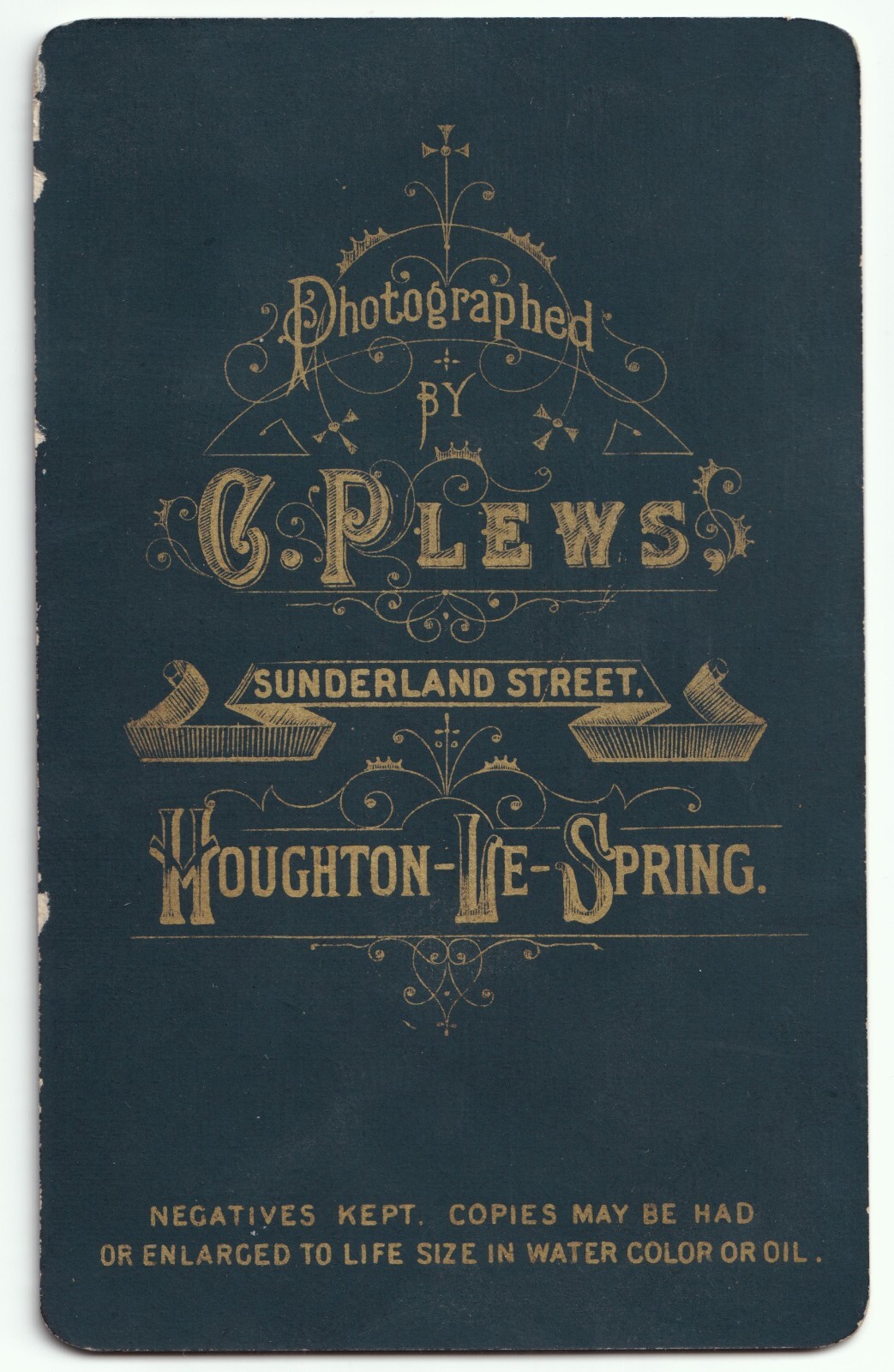 CDV: CDV: Portrait of a Boy with a Chair. C. Plews, Houghton Le Spring Card.: catalogue image 2