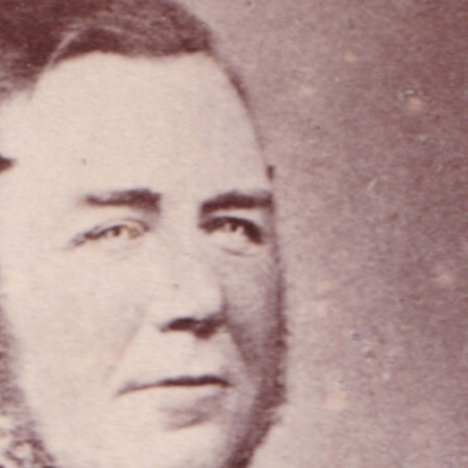 CDV: CDV: Seated Gentleman in Formal Attire. Dexter, King’s Lynn Card.: catalogue image 9