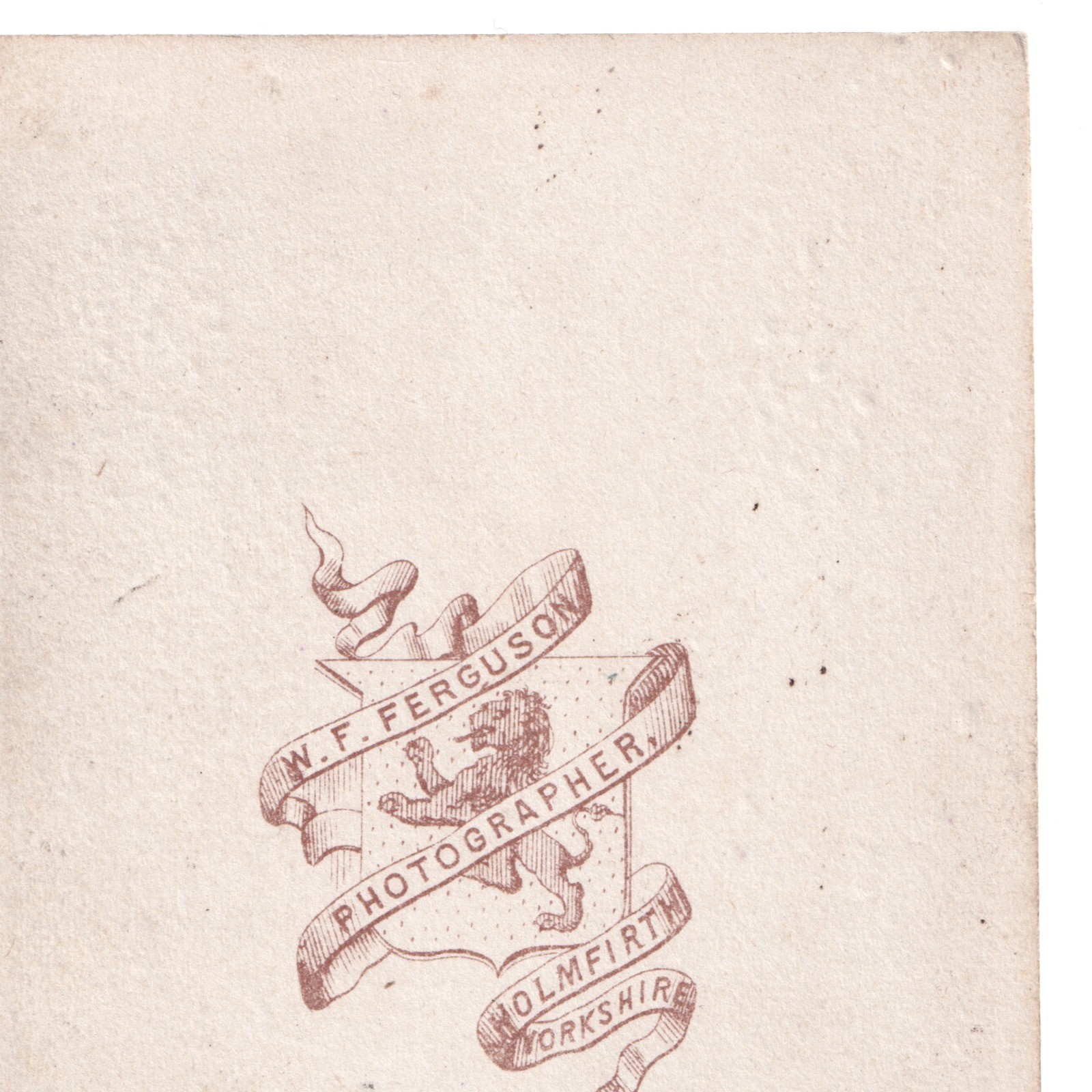 CDV: CDV: W.F. Ferguson Card, Holmfirth, Yorkshire. Seated Man with Beard.: catalogue image 14