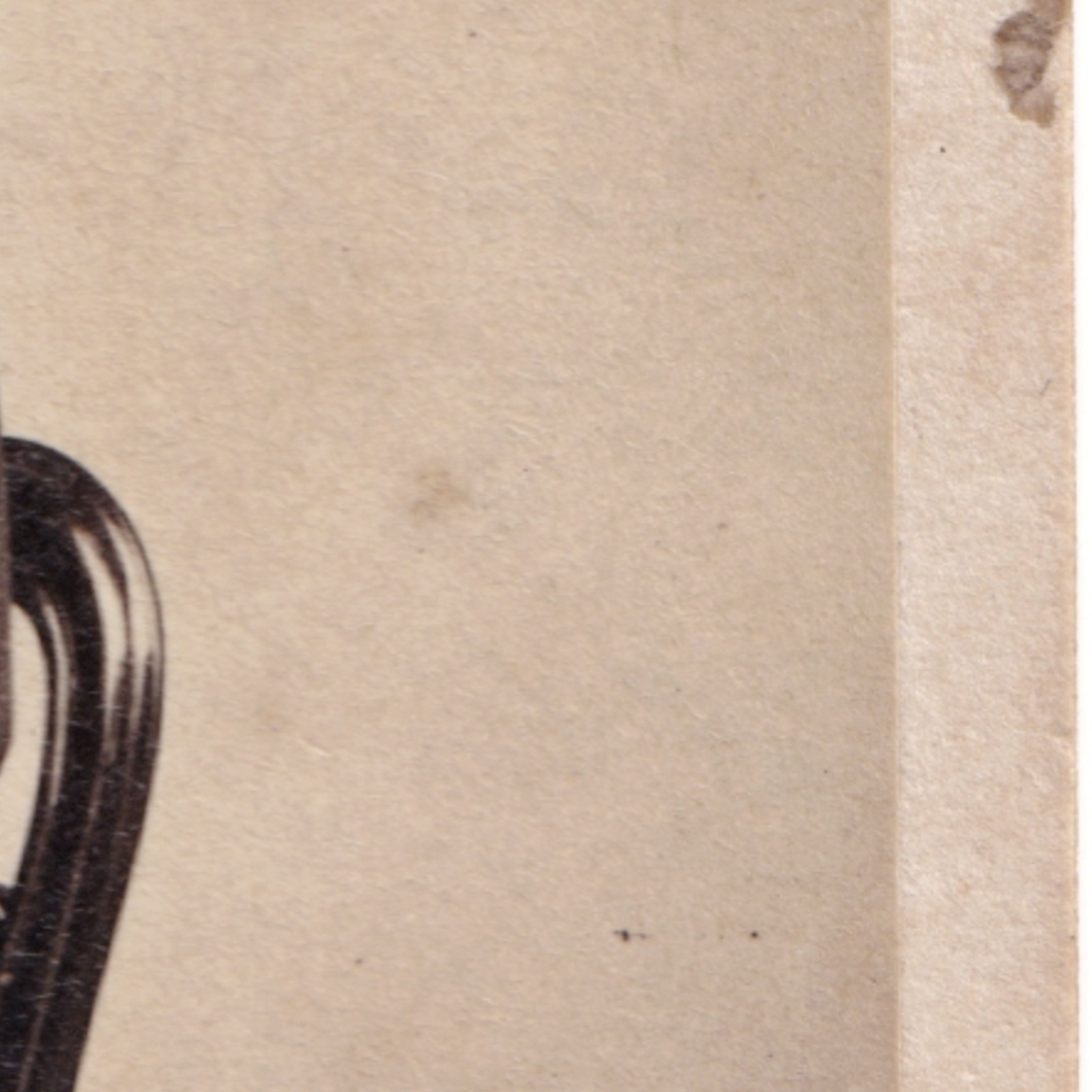 CDV: CDV: W. Spanton Card, Bury St Edmunds. Older Seated Man. Smartly Dressed.: catalogue image 13