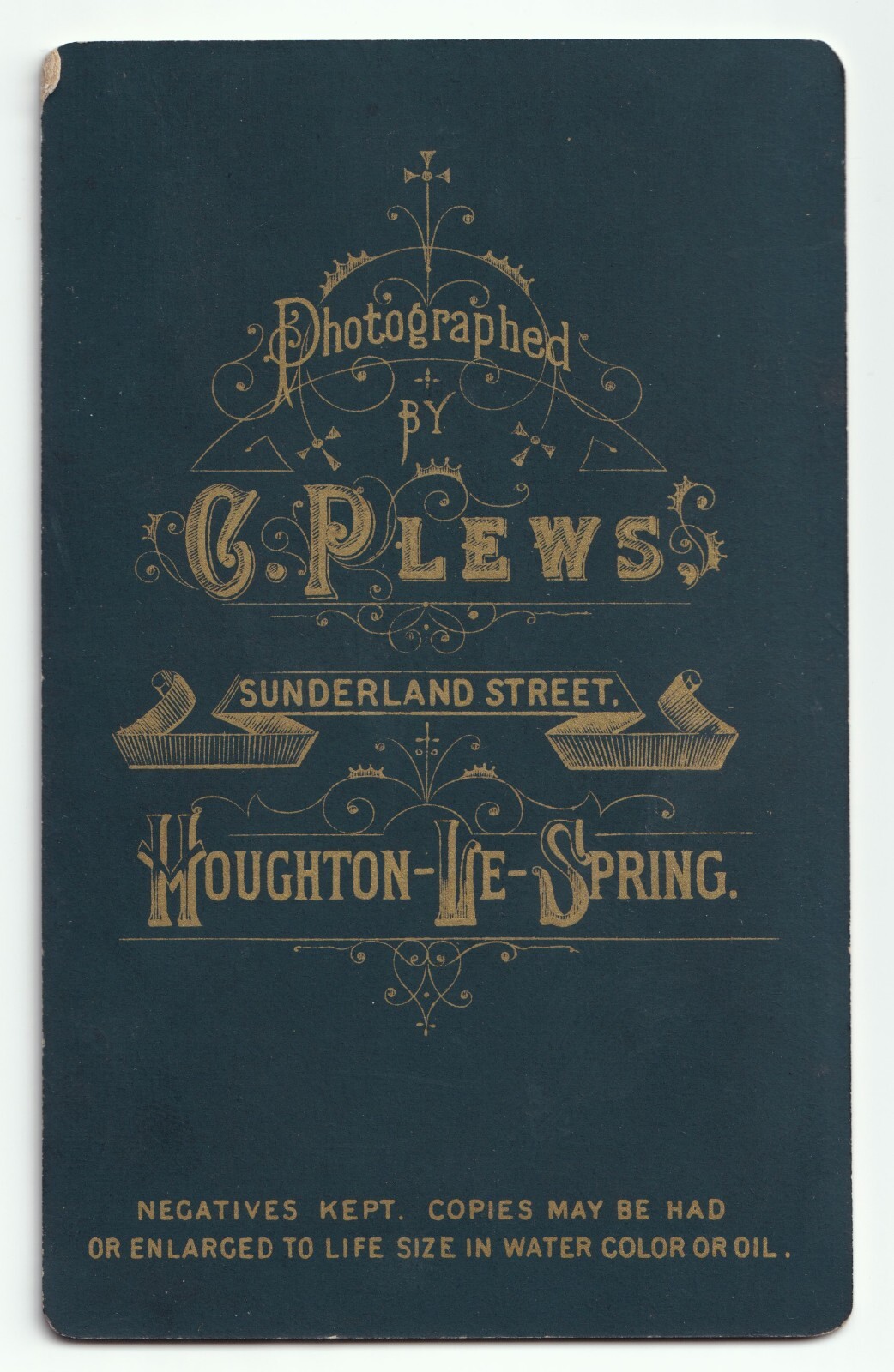 CDV: CDV: Woman Holding Small Book. C. Plews, Houghton Le Spring Card.: catalogue image 2