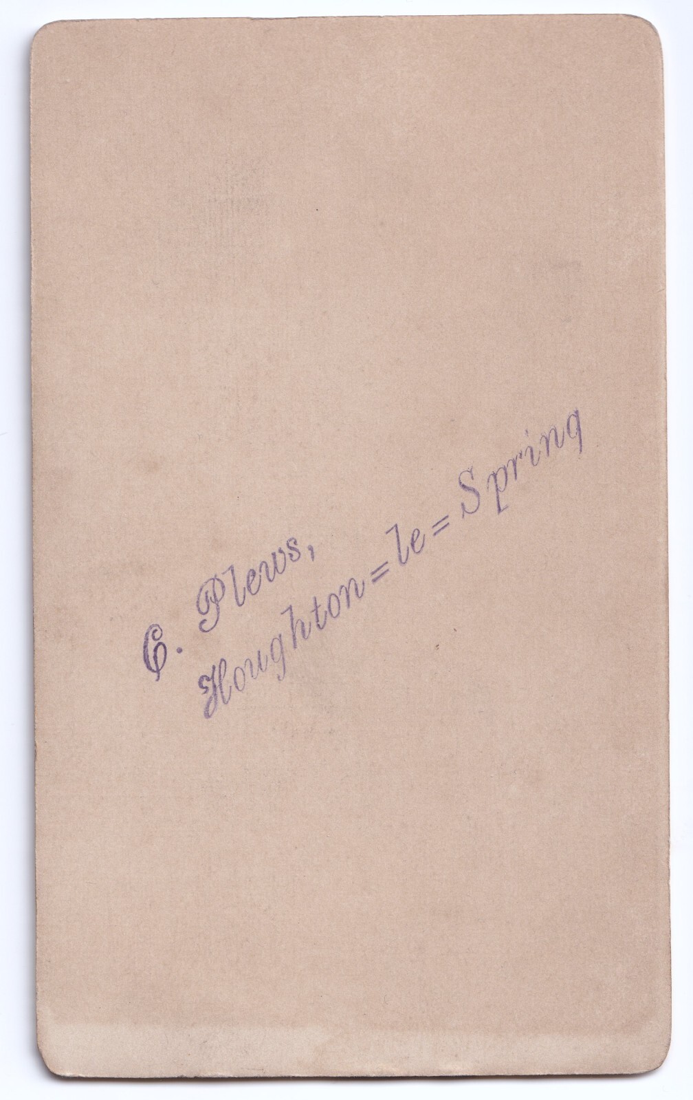 CDV: CDV: Woman Sitting on a Tree Stump. C. Plews, Houghton Le Spring Card.: catalogue image 2