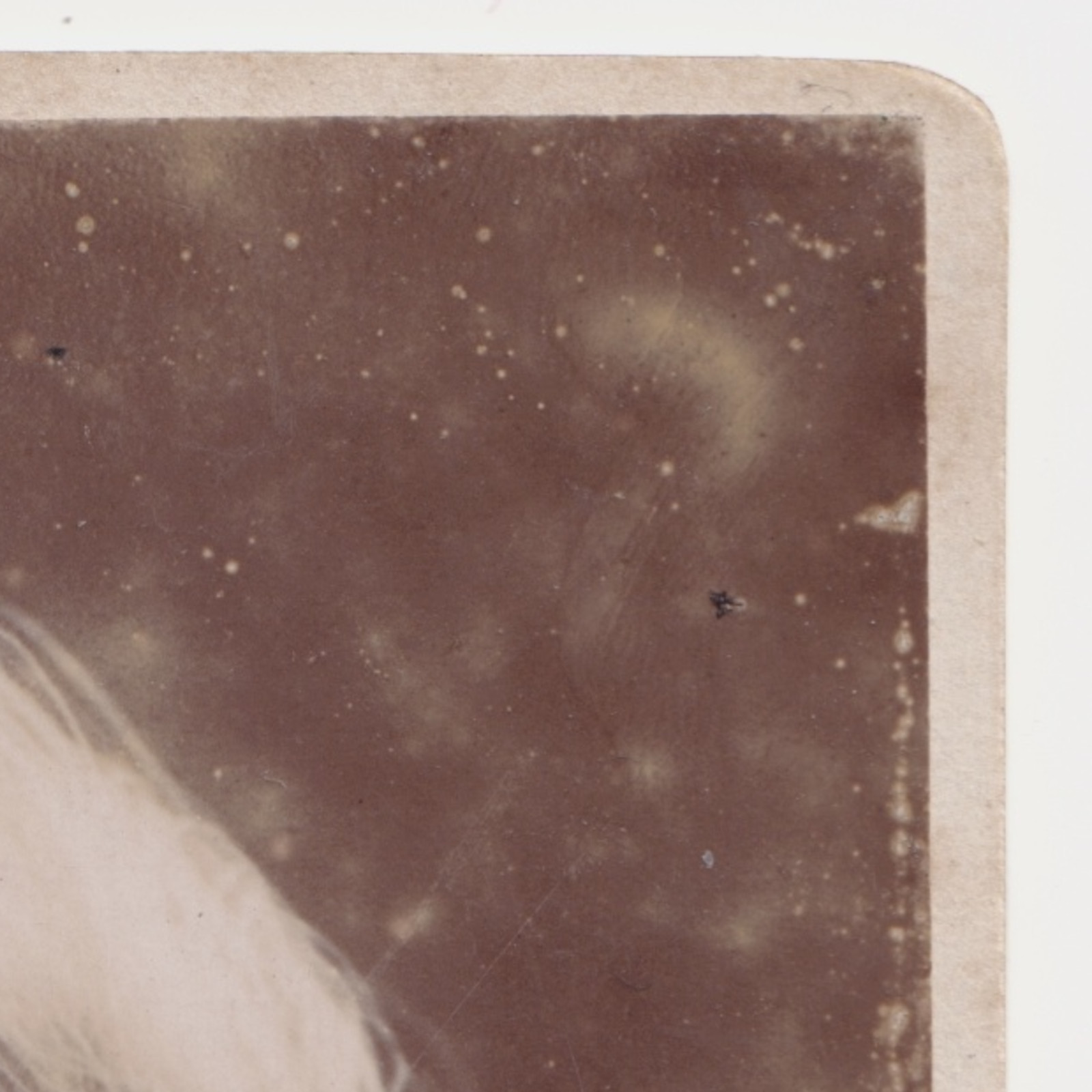 CDV: CDV: Young Woman Off-Camera Gaze. Whitlock Bros Wolverhampton: catalogue image 5