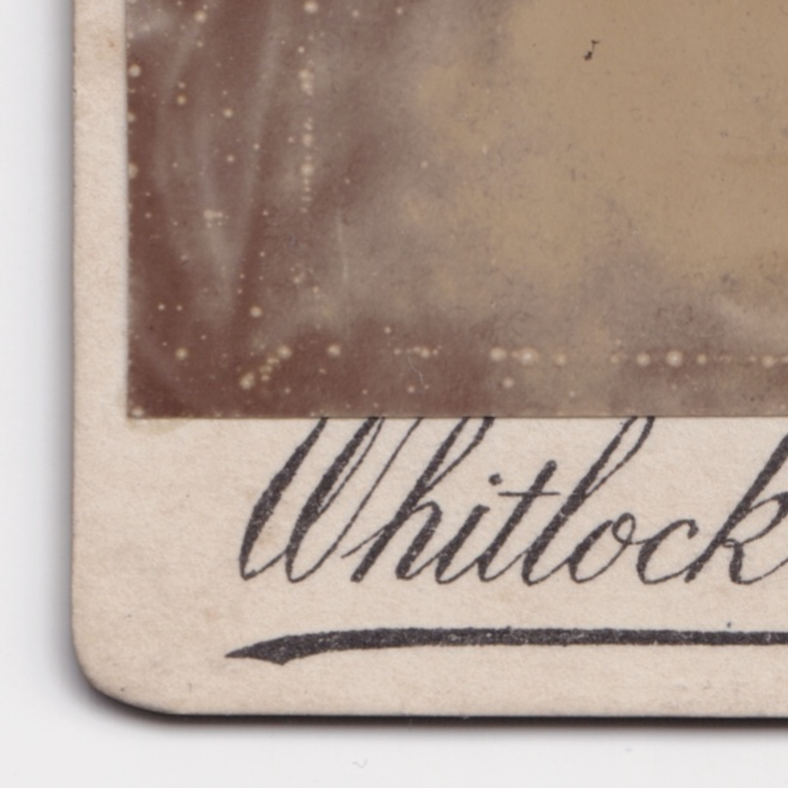 CDV: CDV: Young Woman Off-Camera Gaze. Whitlock Bros Wolverhampton: catalogue image 6