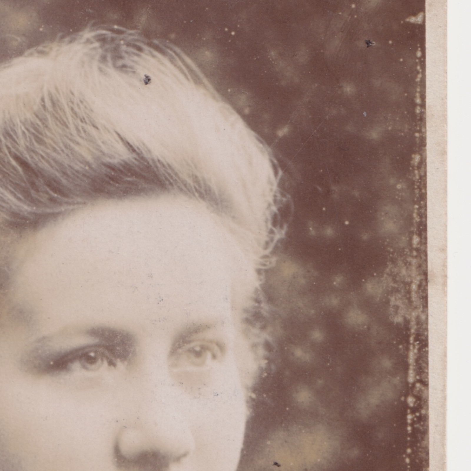 CDV: CDV: Young Woman Off-Camera Gaze. Whitlock Bros Wolverhampton: catalogue image 9