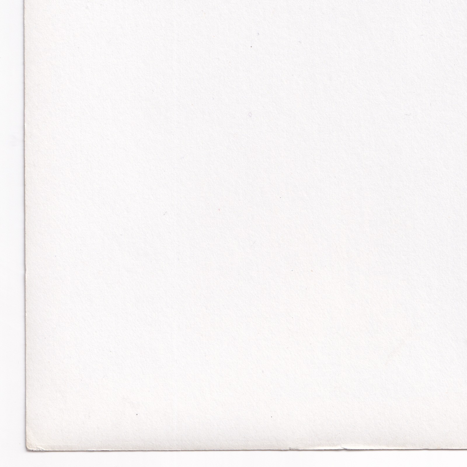 Photograph: Old Photograph, Northwestern Pacific Ferry, Tamalpais.: catalogue image 19