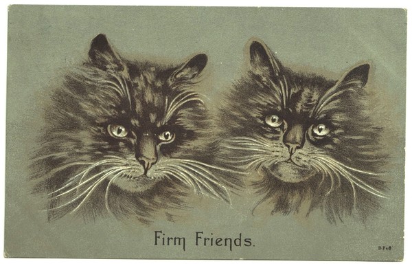 Postcard: Gorgeous CATS Postcard, Firm Friends, D. F & Co Series. 2137.: catalogue image 1
