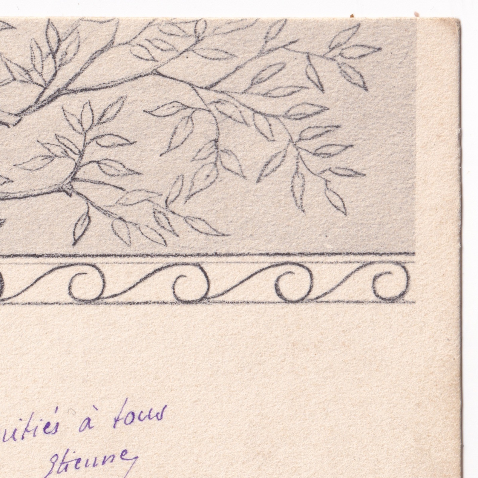 Postcard: Postcard: Art Nouveau, Two Women Watching A Bird in the Tree.: catalogue image 10