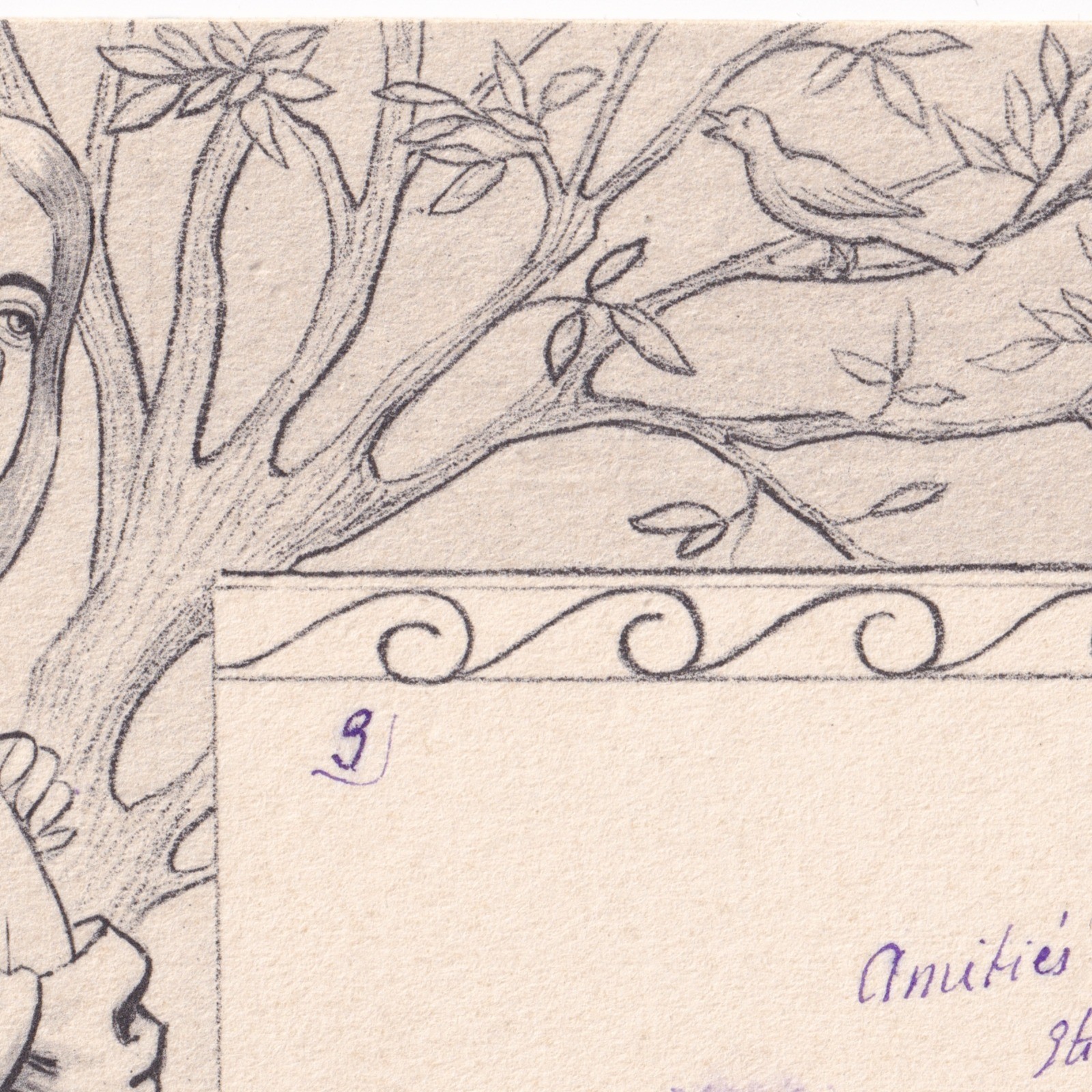 Postcard: Postcard: Art Nouveau, Two Women Watching A Bird in the Tree.: catalogue image 9