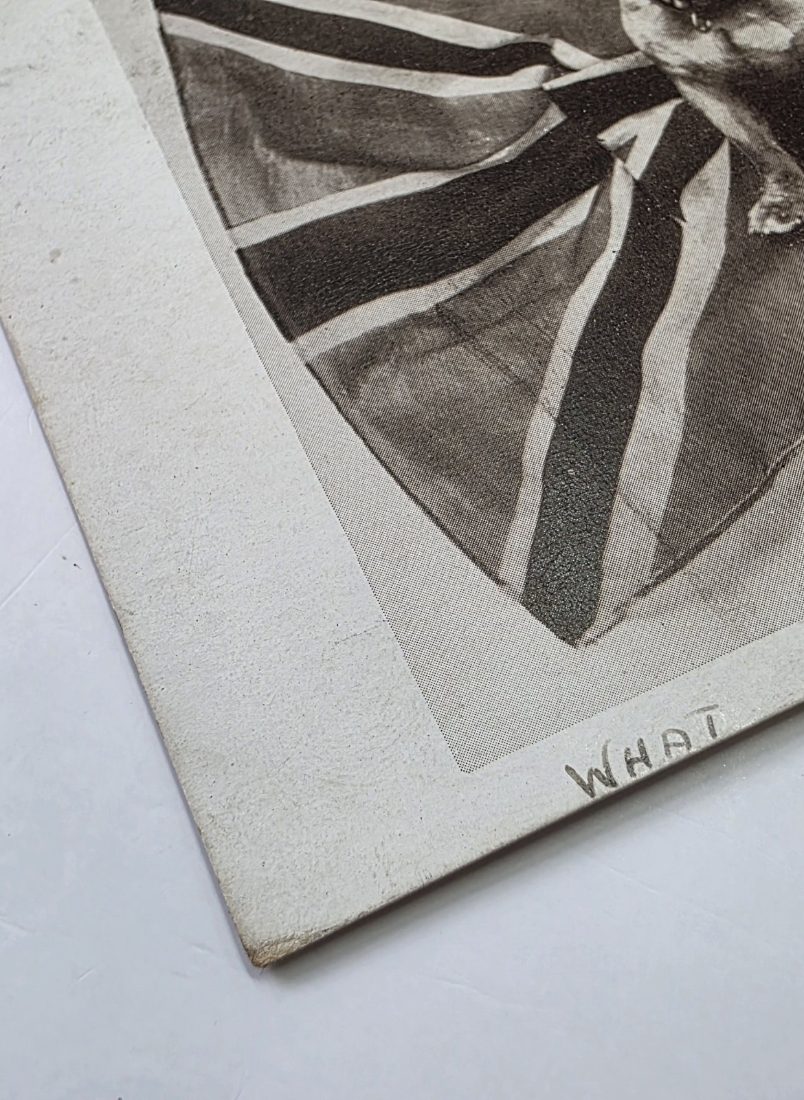 Postcard: Postcard: British Bulldog sat on Flag. Ready, Aye, Ready.: catalogue image 8