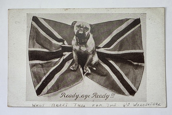 Postcard: Postcard: British Bulldog sat on Flag. Ready, Aye, Ready.: catalogue image 1