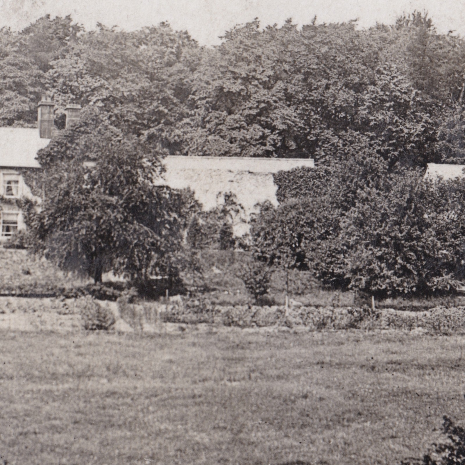 Postcard: Postcard: The Heaning, Newton, Real Photograph by BUCK, Clitheroe, Lancashire: catalogue image 10