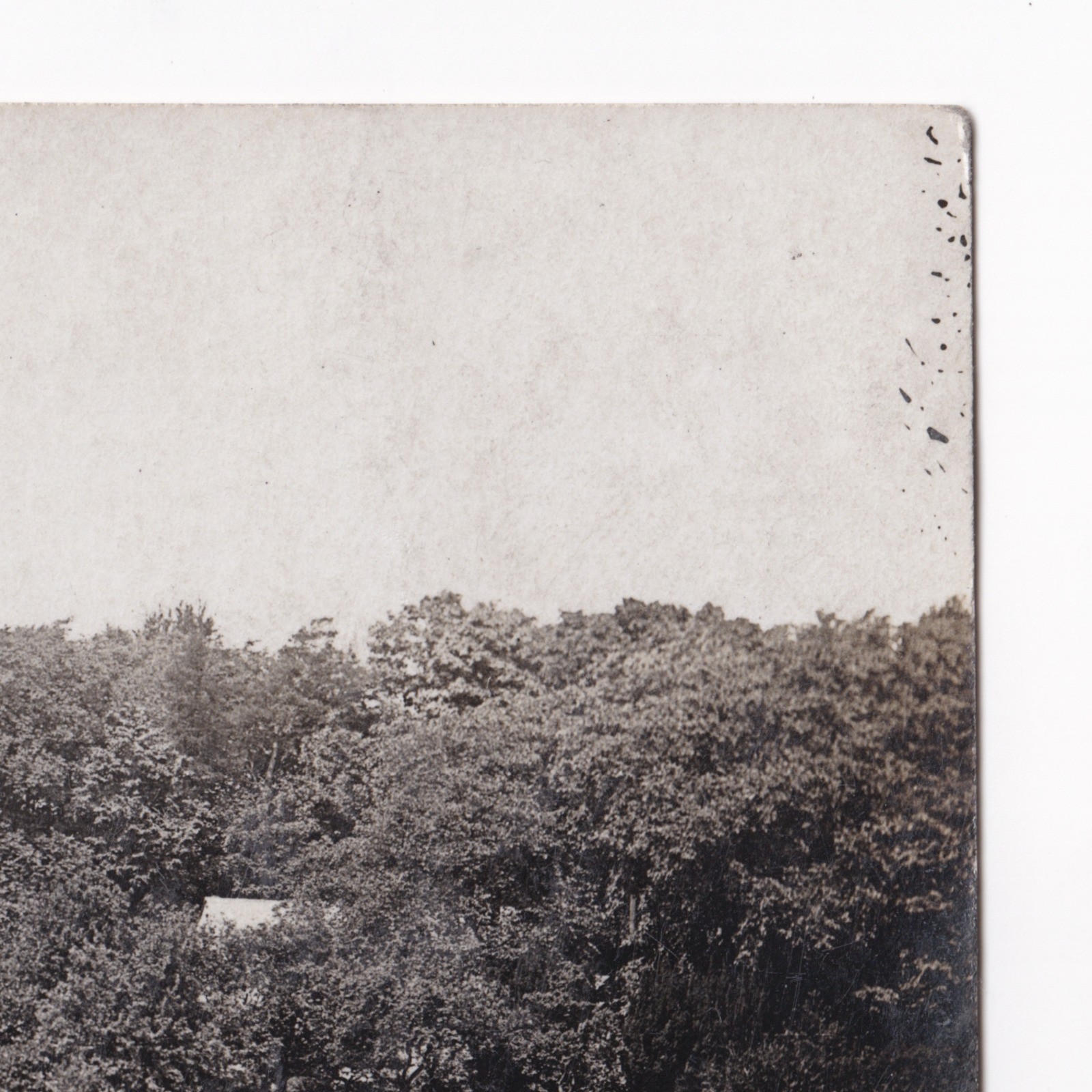 Postcard: Postcard: The Heaning, Newton, Real Photograph by BUCK, Clitheroe, Lancashire: catalogue image 5