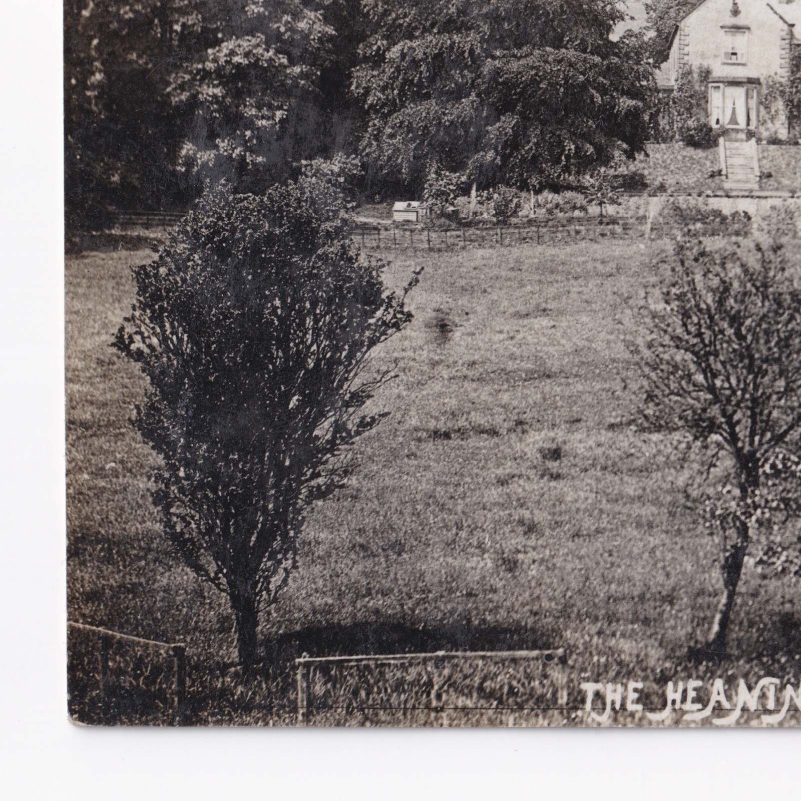 Postcard: Postcard: The Heaning, Newton, Real Photograph by BUCK, Clitheroe, Lancashire: catalogue image 7