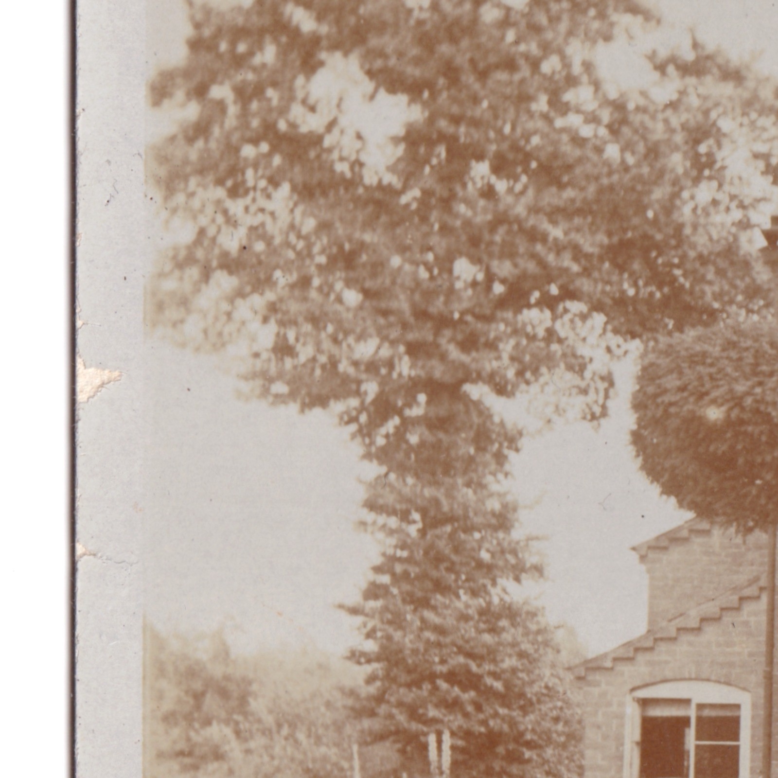 Postcard: Postcard Unidentified House, Family. Distinctive Topiary Bushes, Cross in Window: catalogue image 4