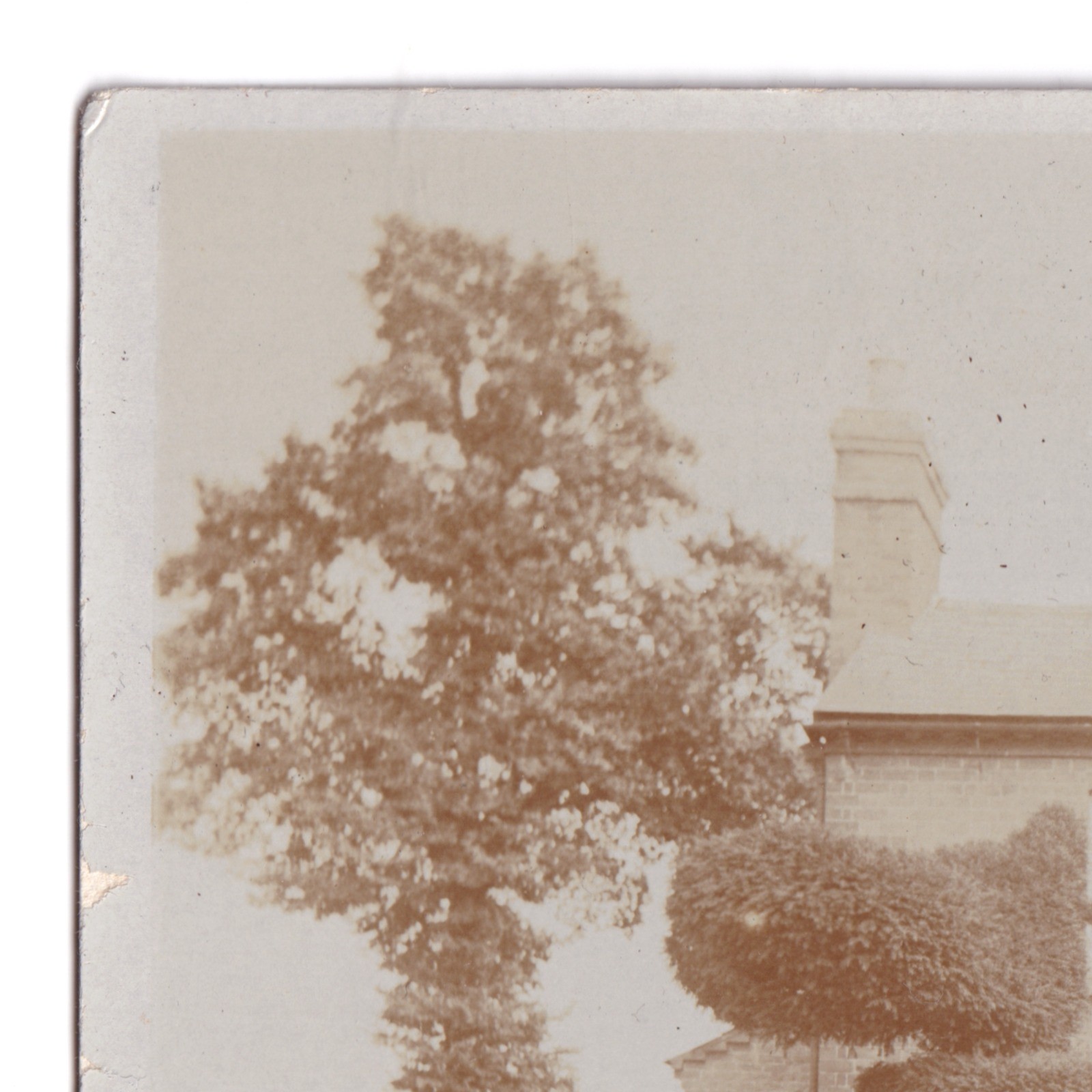 Postcard: Postcard Unidentified House, Family. Distinctive Topiary Bushes, Cross in Window: catalogue image 8